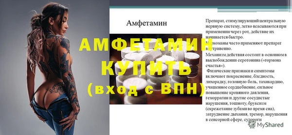 стаф Дмитриев