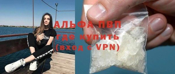 стаф Дмитровск