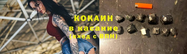 стаф Дмитровск