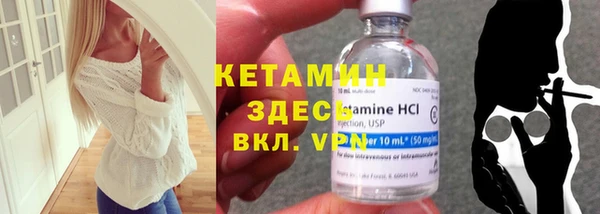стаф Дмитровск
