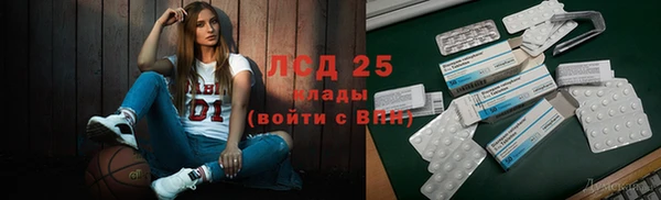 стаф Дмитровск