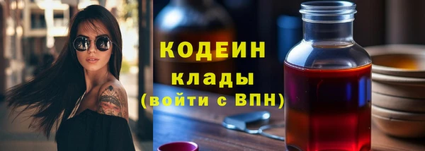 стаф Дмитриев