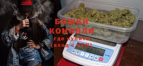 стаф Дмитриев