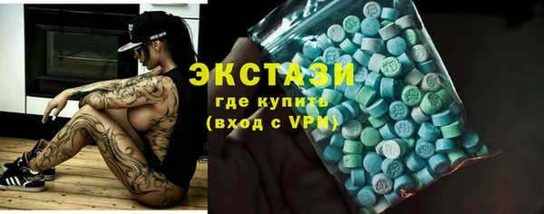 стаф Дмитровск