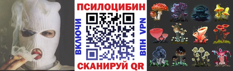 Галлюциногенные грибы Cubensis  где купить наркоту  Тамбов 